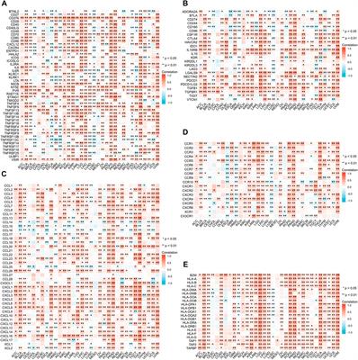 ANXA2 is a potential biomarker for cancer prognosis and immune infiltration: A systematic pan-cancer analysis